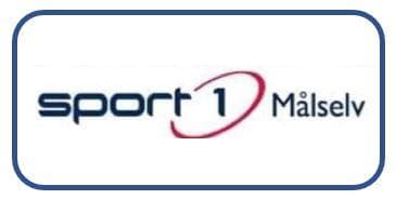 Sponsor logo #8